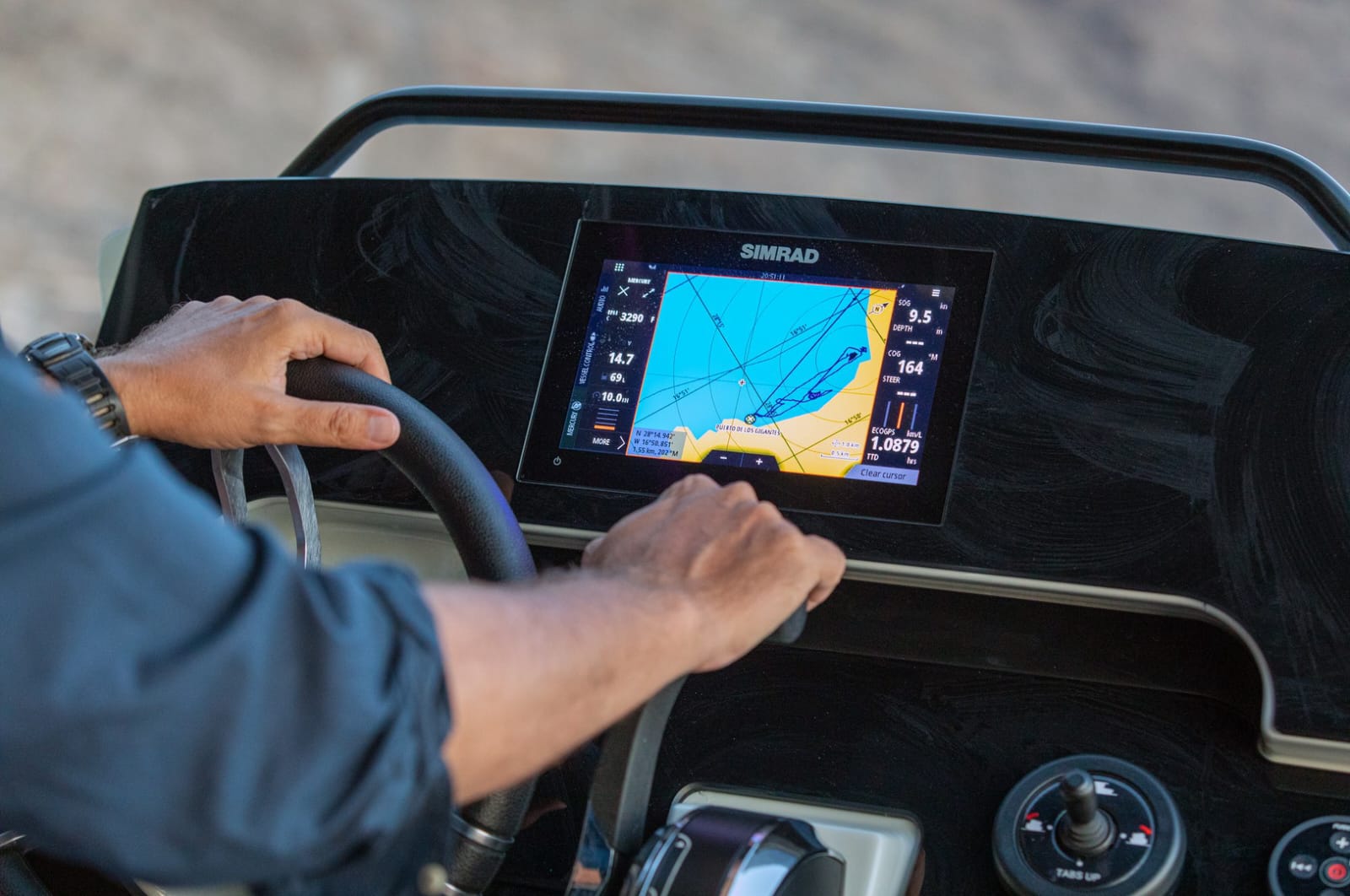 Paseo en barco con licencia PNB/PER desde Los Gigantes